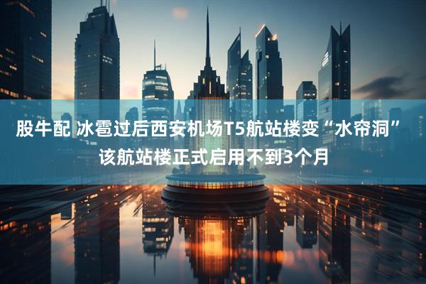 股牛配 冰雹过后西安机场T5航站楼变“水帘洞” 该航站楼正式启用不到3个月