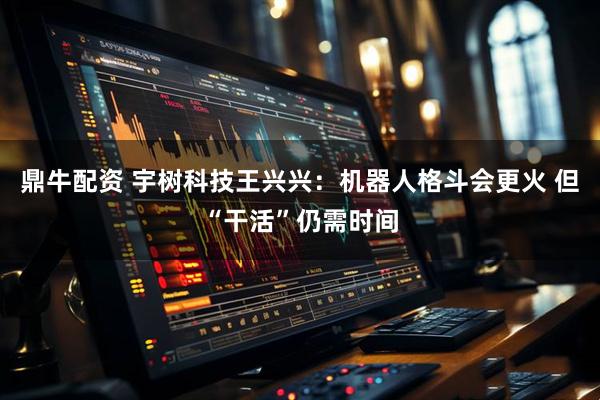 鼎牛配资 宇树科技王兴兴：机器人格斗会更火 但“干活”仍需时间