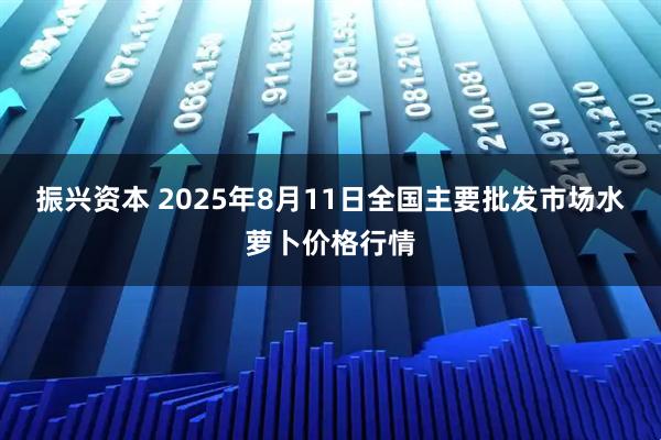 振兴资本 2025年8月11日全国主要批发市场水萝卜价格行情